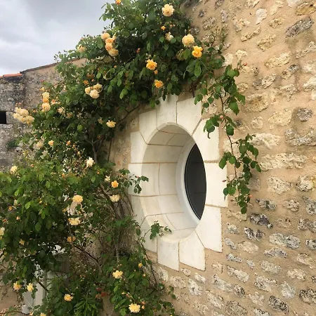 Maison Althea Rosea - 3 Et Piscine Nieulle-sur-Seudre
