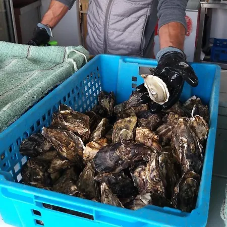 Semesterbostad Maison Althea Rosea - 3 Et Piscine