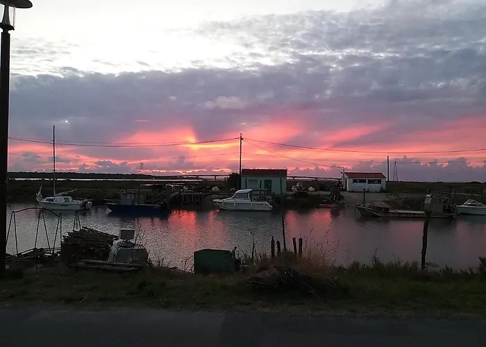 Holiday home Maison Althea Rosea - 3 Et Piscine Nieulle-sur-Seudre