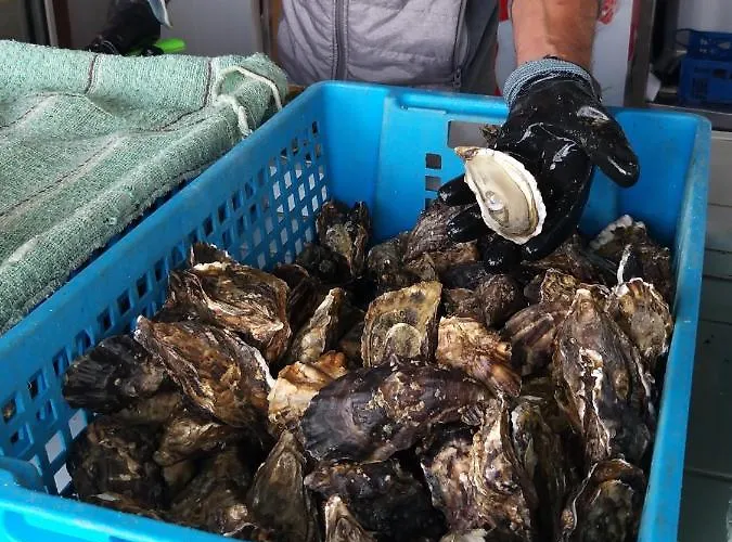 Holiday home Maison Althea Rosea - 3 Et Piscine